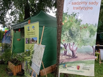 Piknik Rodzinny w Ksawerowie, <p>fot. M. Starnowski</p>